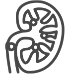 Kidney Stone Icon